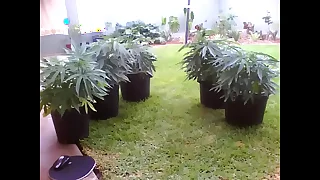 WIN 20171214 07 45 07 Pro