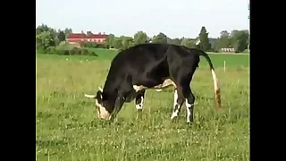 Uncivil Avidity &lpar;censored version&rpar;