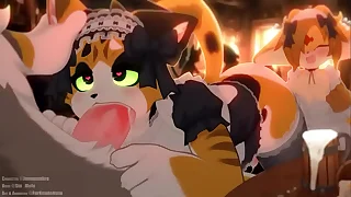 Calico cat gives out a bj to buyer