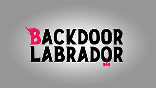 Legoshi se divertindo com seu amigo[Taga]