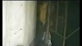 Strip-teasing my Japayuki 1983